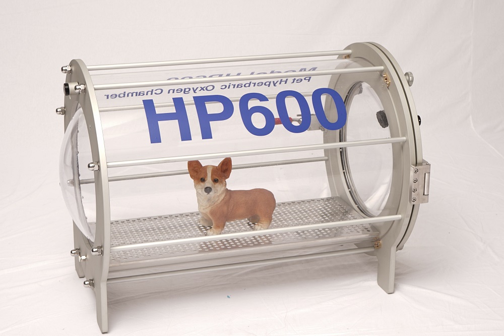 1553889115479 hyperbaric pet11