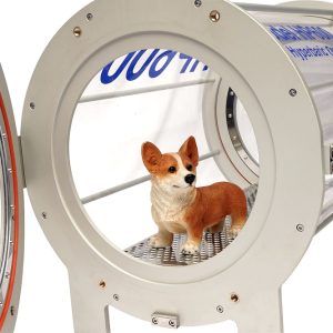 1553889117534 hyperbaric pet chamber 8