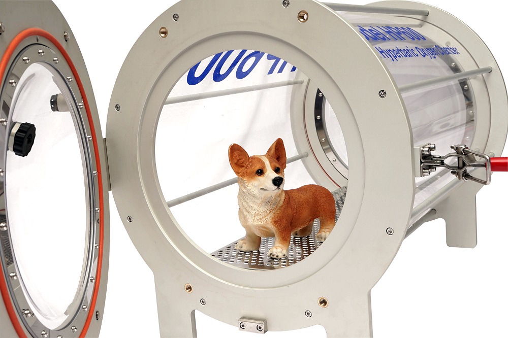 1553889117534 hyperbaric pet chamber 8