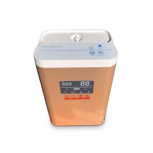Hydrogen generator Hydrogen Purity