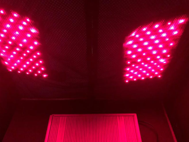 Thera360 Plus Portable Full-Spectrum Infrared Sauna