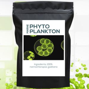 Organic Marine Phytoplankton Powder Nannochloropsis Gadit