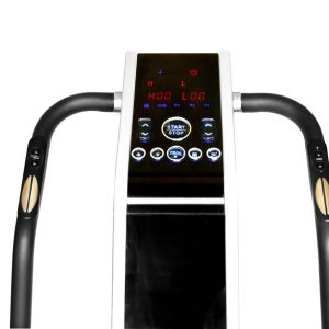 VBS 4000 Whole Body Vibration Platform4