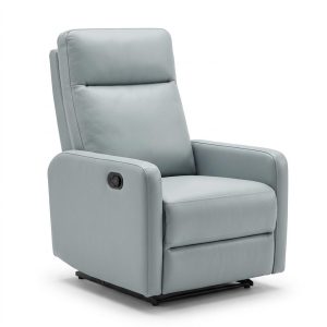 Large Comfort Recliner 1