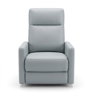 Large Comfort Recliner 2