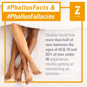 Phallus Facts 1 1 11 2023 B