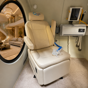 Vitasphere update w Chair interior and bbis