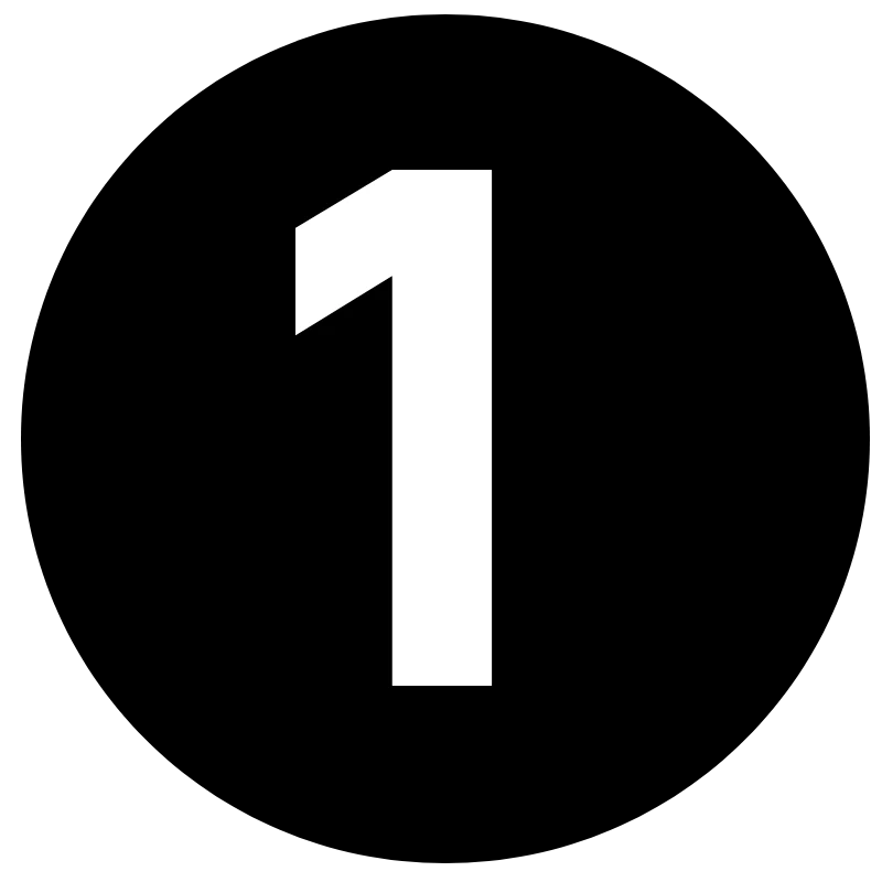N1