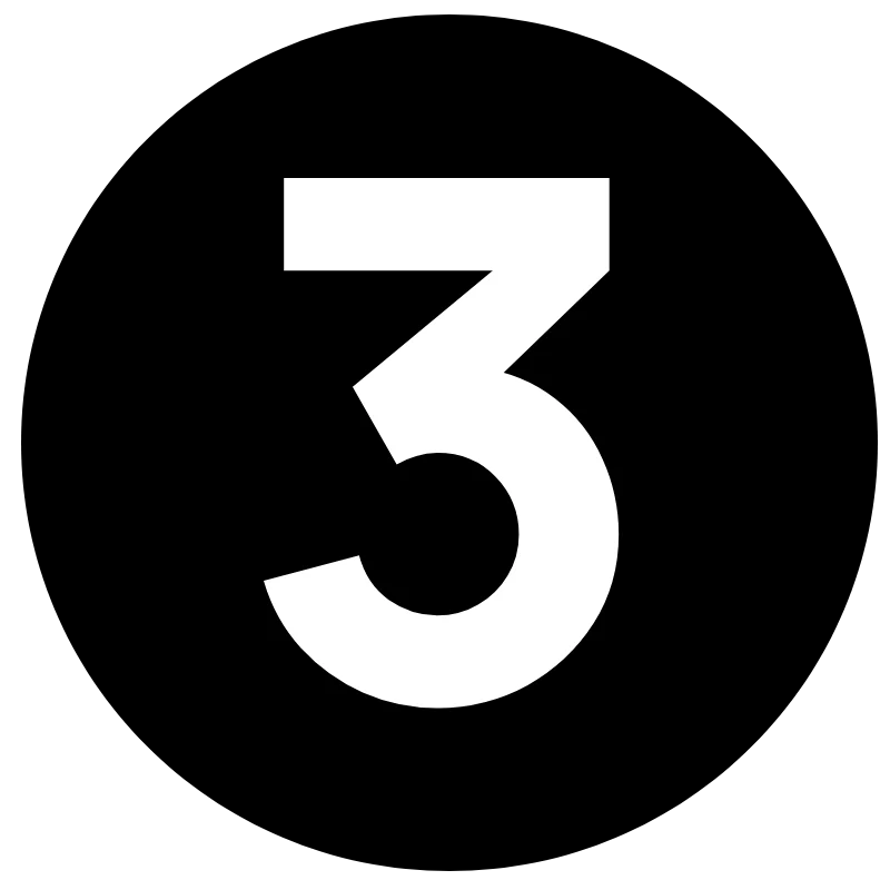 N3