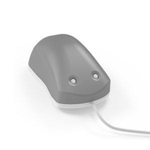 Brain Gauge