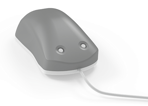 Brain Gauge